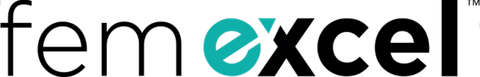 Fem Excel logo